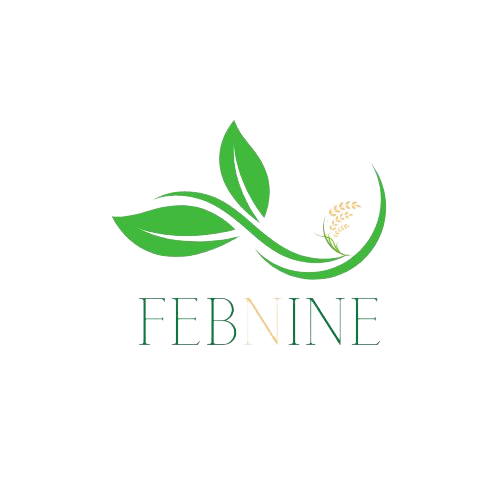 febninelimited.net